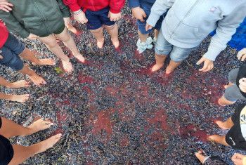 02/10/2022 - FESTA DEI NONNI E DELLA VENDEMMIA
